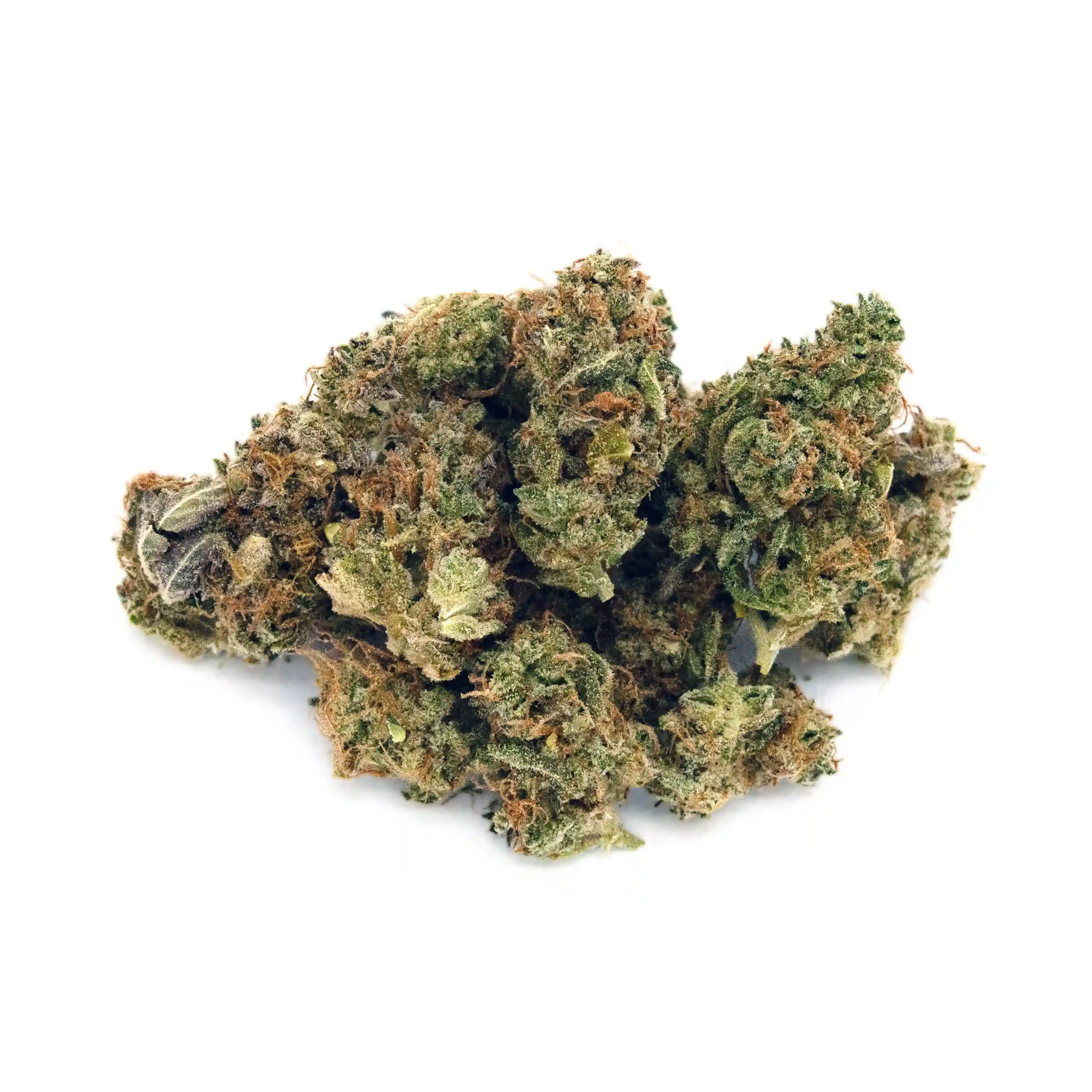Sasquatch Breath | Mini-Buds | 1/8 oz.