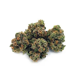 Hawaiian Dream | 1/8 oz.