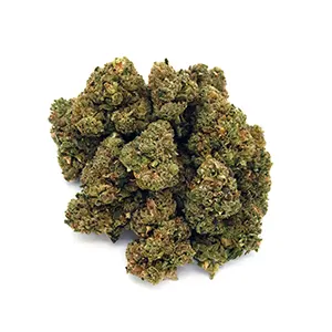 Gas Leak | Mini-Buds | 1/2 oz.