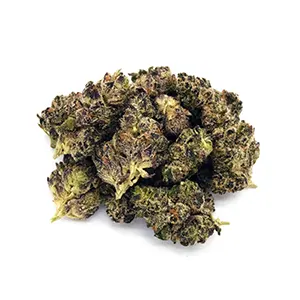 White Truffle | Mini-Buds | 1/8 oz.