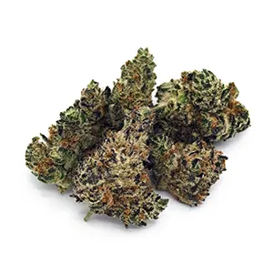 Blue Dream | Mini-Buds | 1/8 oz.