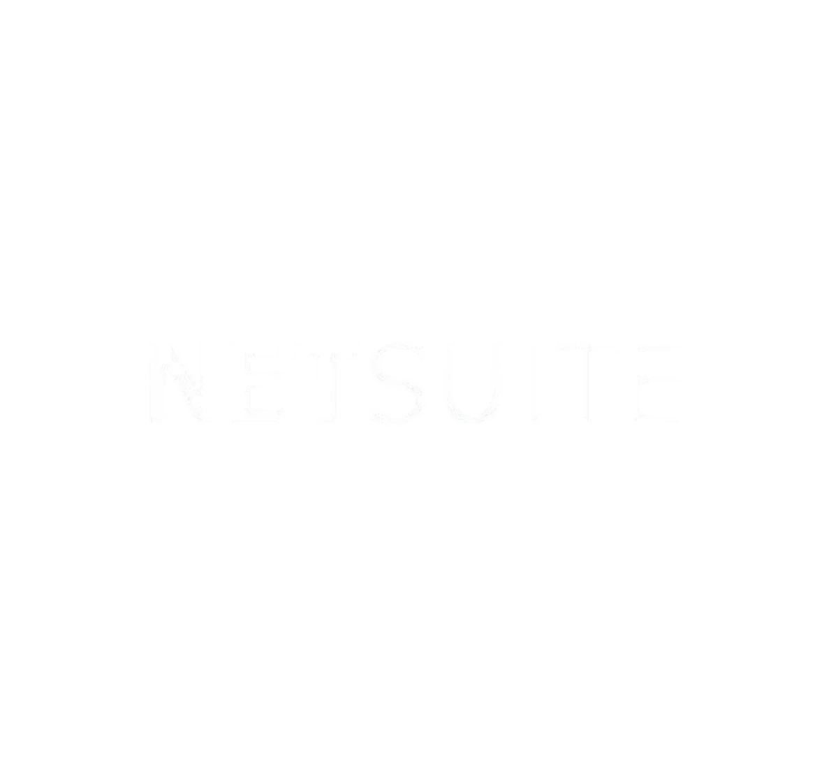 Must-Know Features and Critical Aspects of NetSuite Connectors