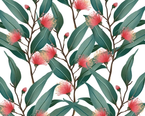 Blessed Xmas gift packs