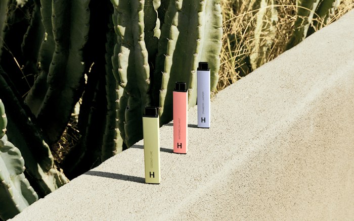 How Long Does a Disposable Vape Last?