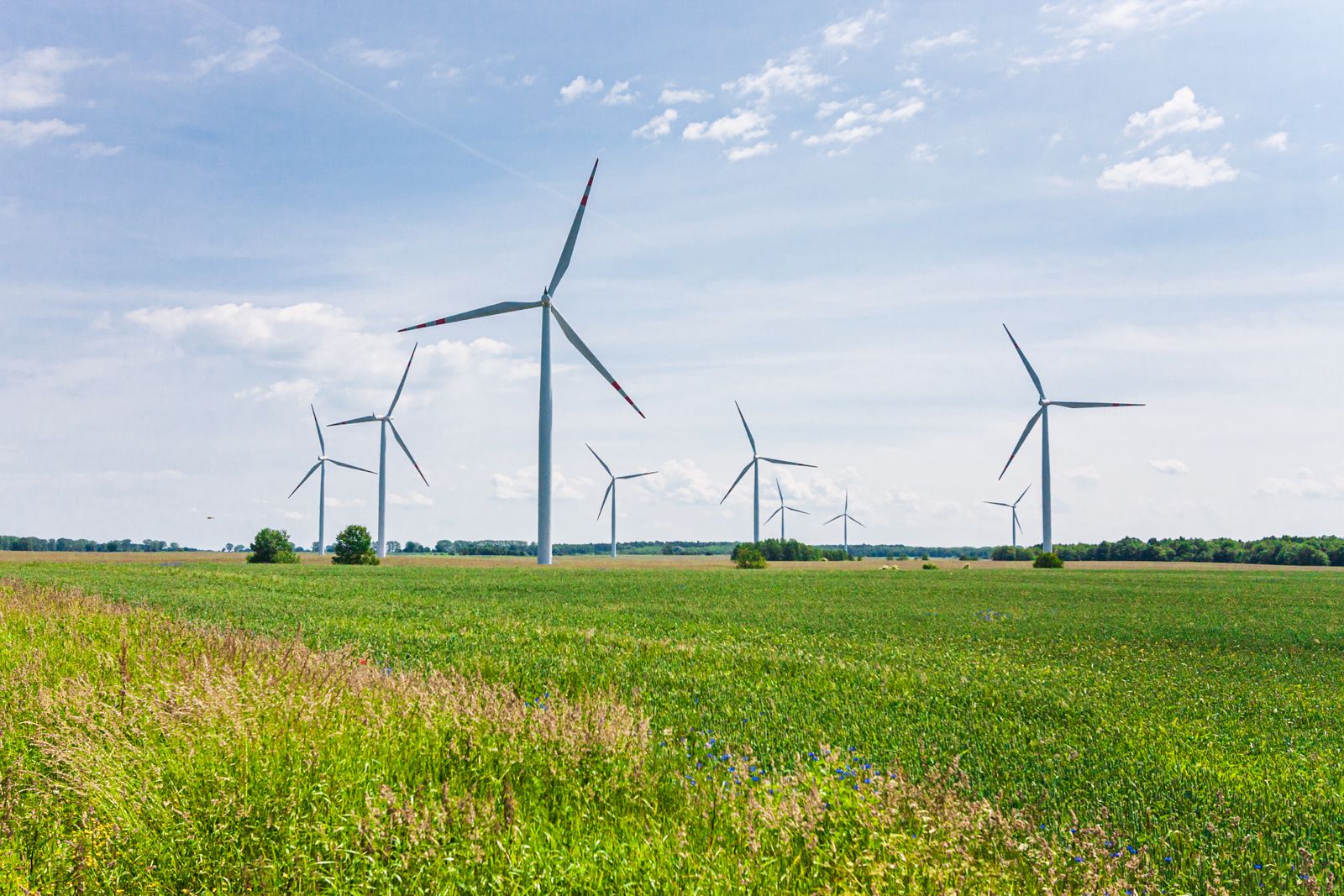 Windenergieanlagen: Erzeugung im eigenen Versorgungsgebiet ist ein Kern neuer Geschäftsmodelle für Regionalversorger.