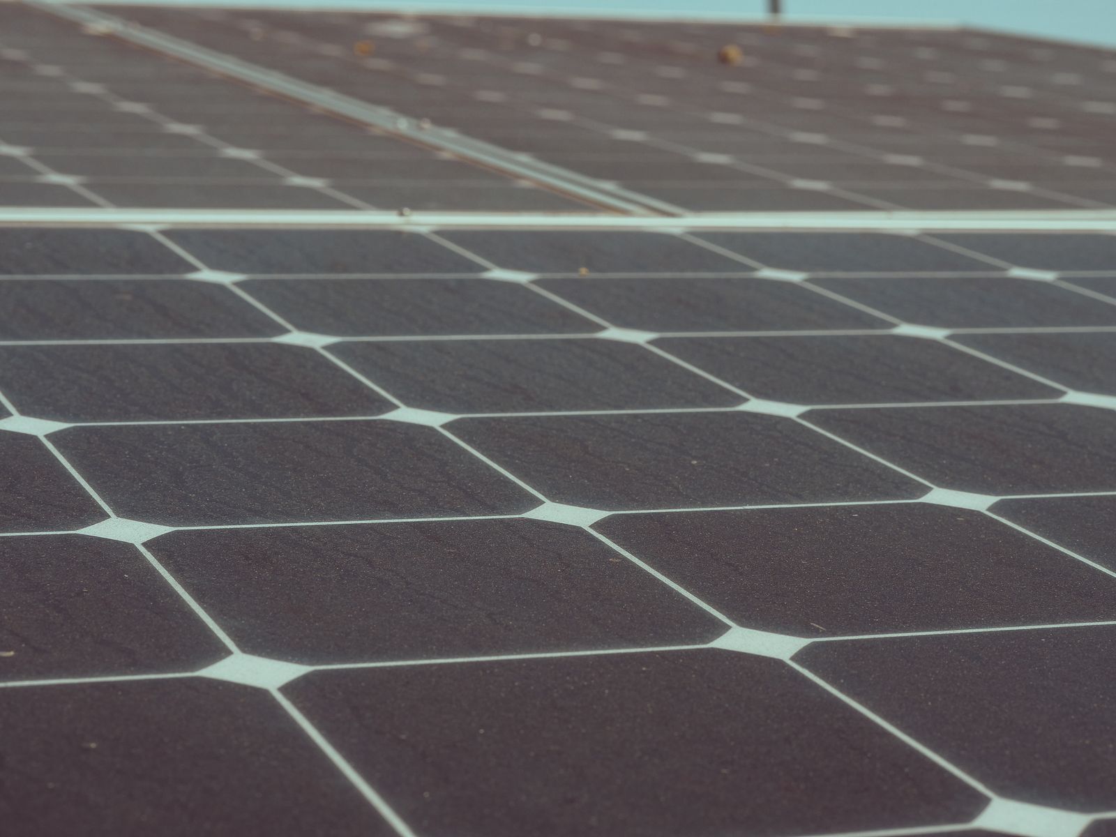 Nahaufnahme von Photovoltaikmodulen (Symbolbild).