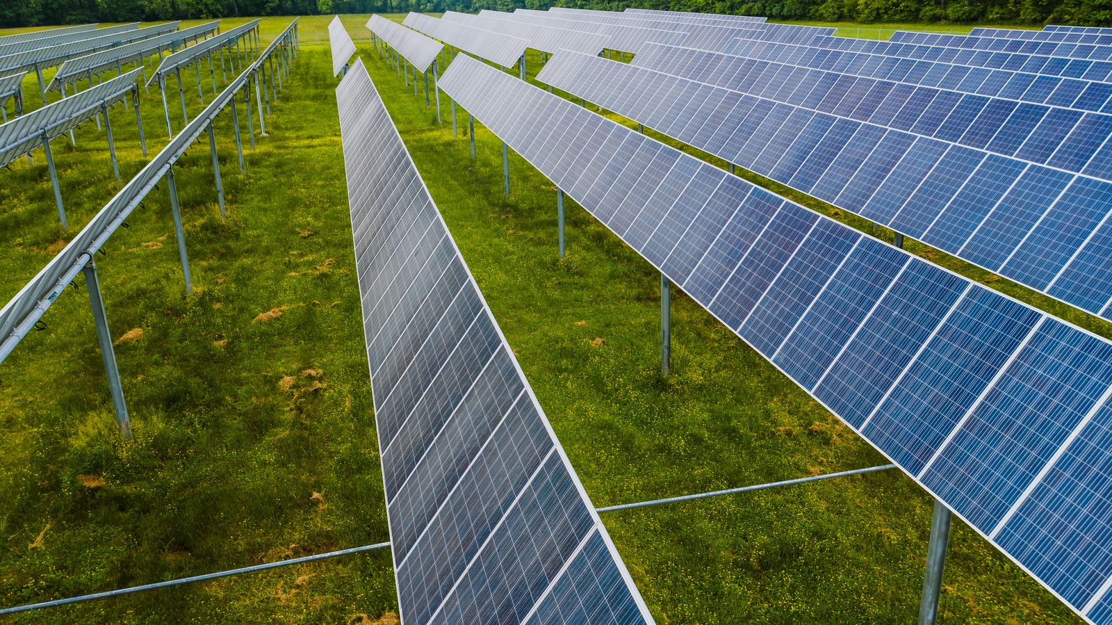 Solarpark auf Grünland: Für Detmold prüfen wir jede Fläche auf Machbarkeit.