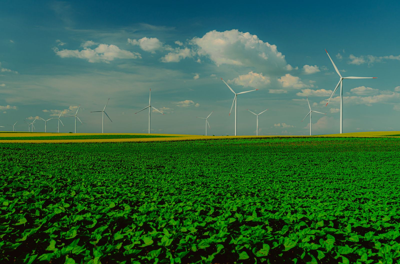 Windpark in offener Landschaft: Wo erneuerbare Energie erzeugt wird, bestimmt mit, wohin Strom transportiert werden muss.