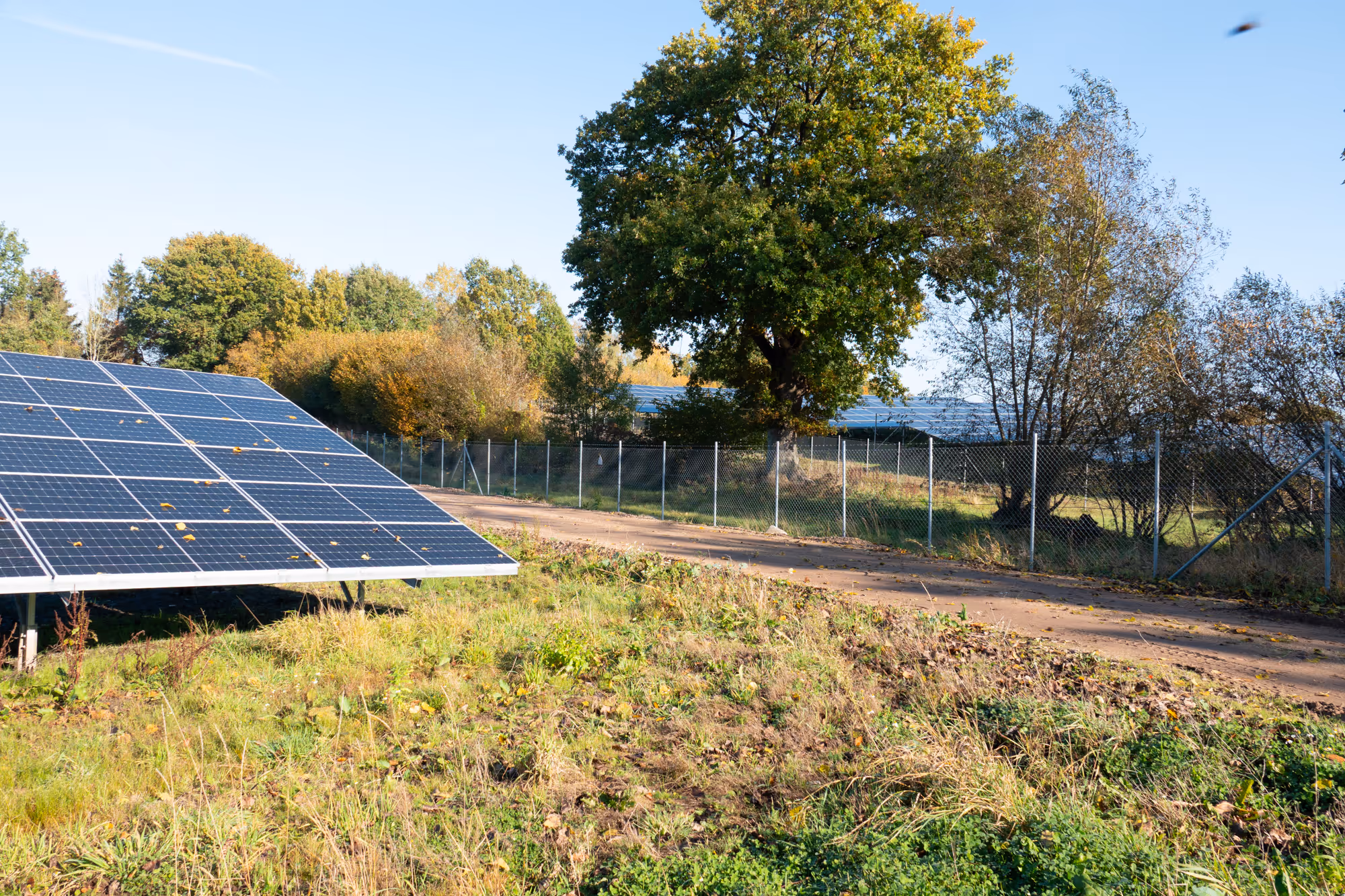 Photovoltaik Park Impression