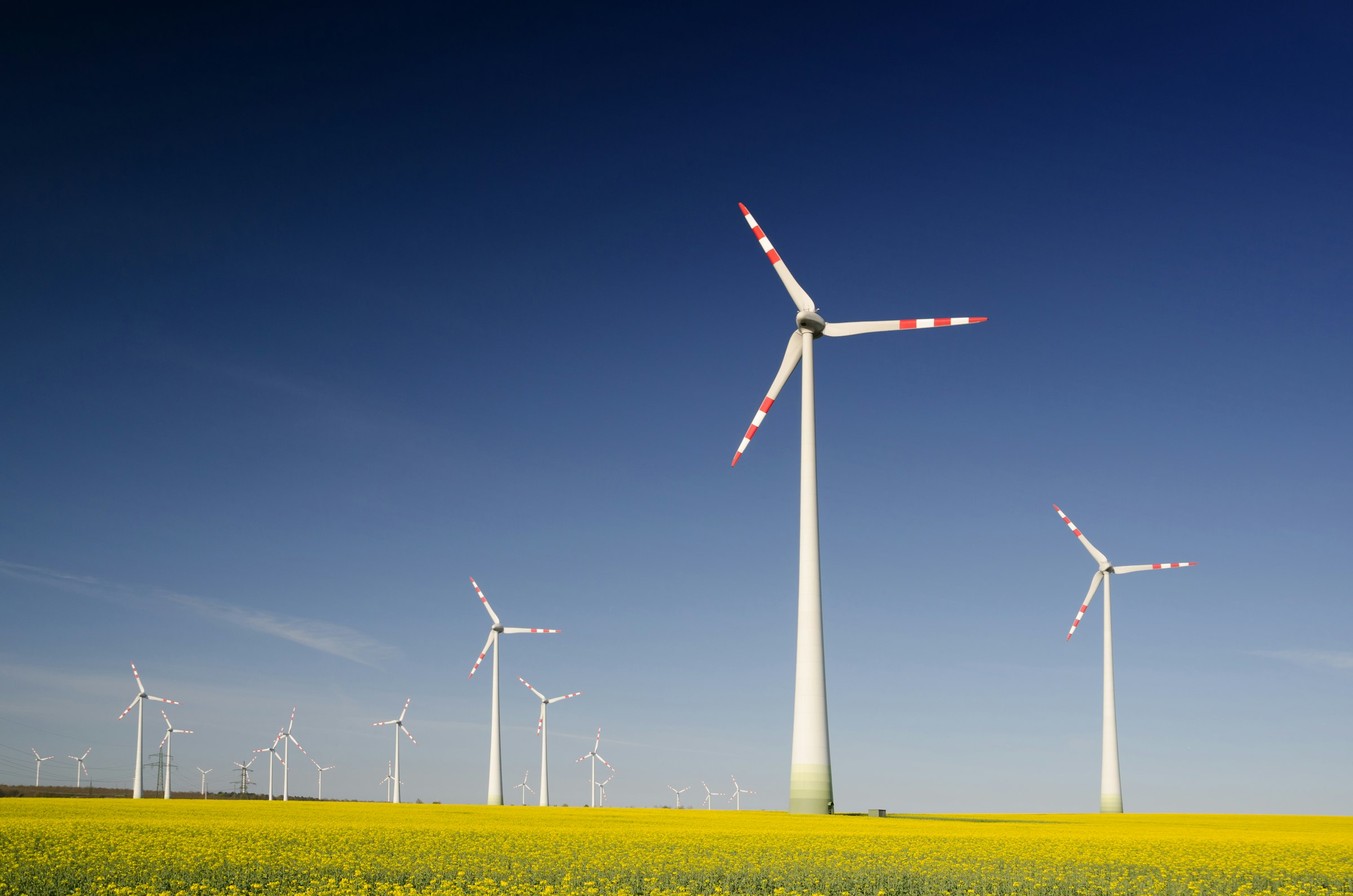 Windräder über einem blühenden Rapsfeld