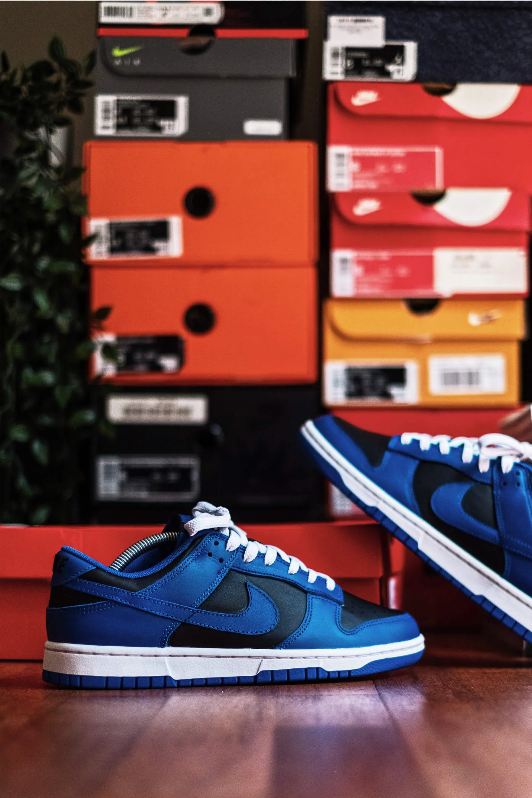 Sneaker contra work for Nike Sportswear via Footlocker Australia | EDG Studios