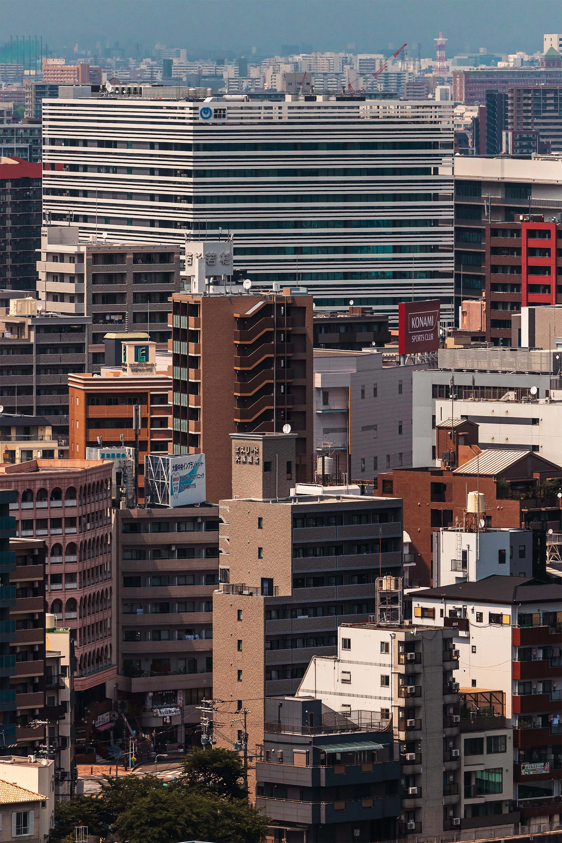 Streetstyle Photography from Osaka, Japan in 2024 | EDG Studios