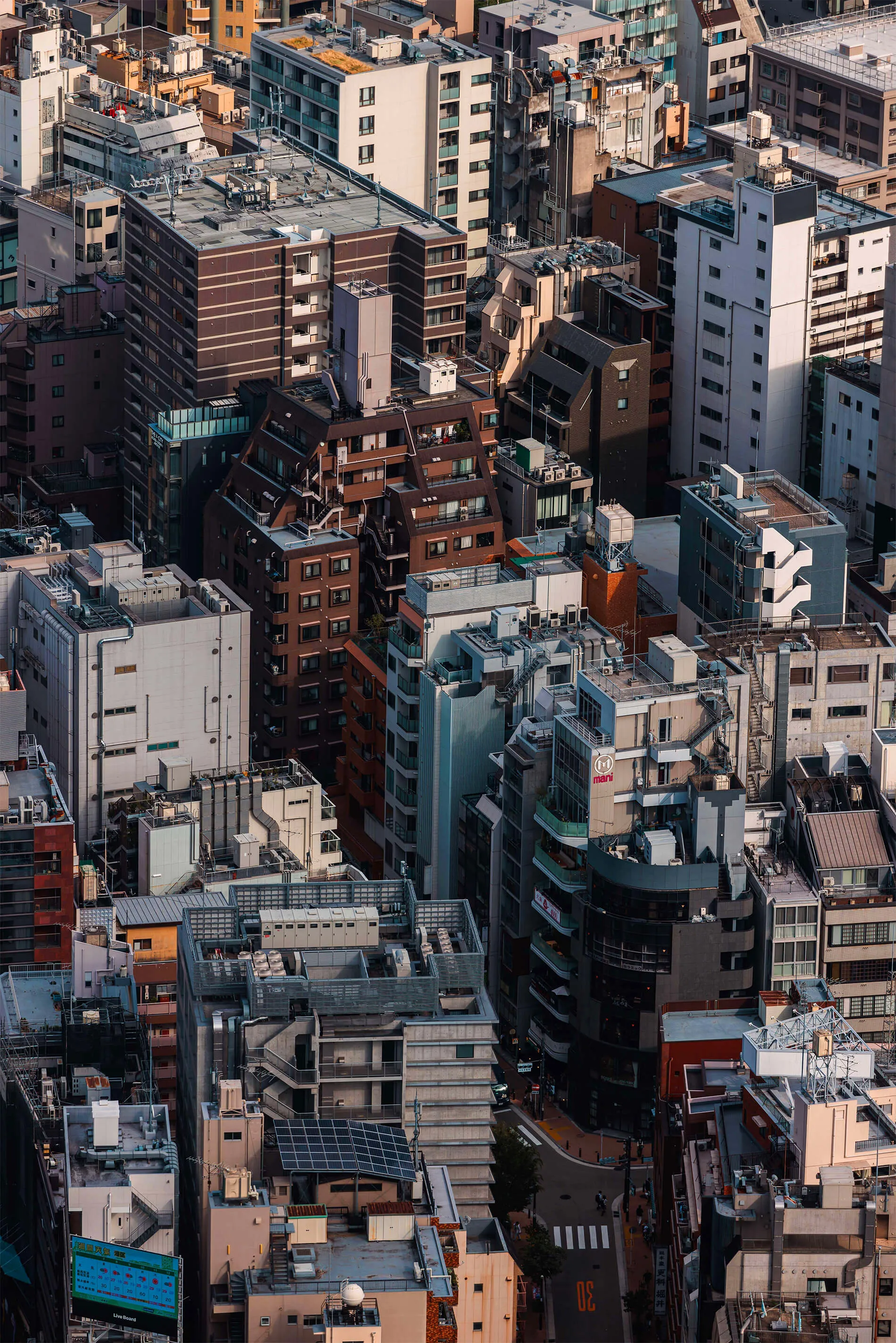 Streetstyle from Tokyo, Japan in 2024 | EDG Studios