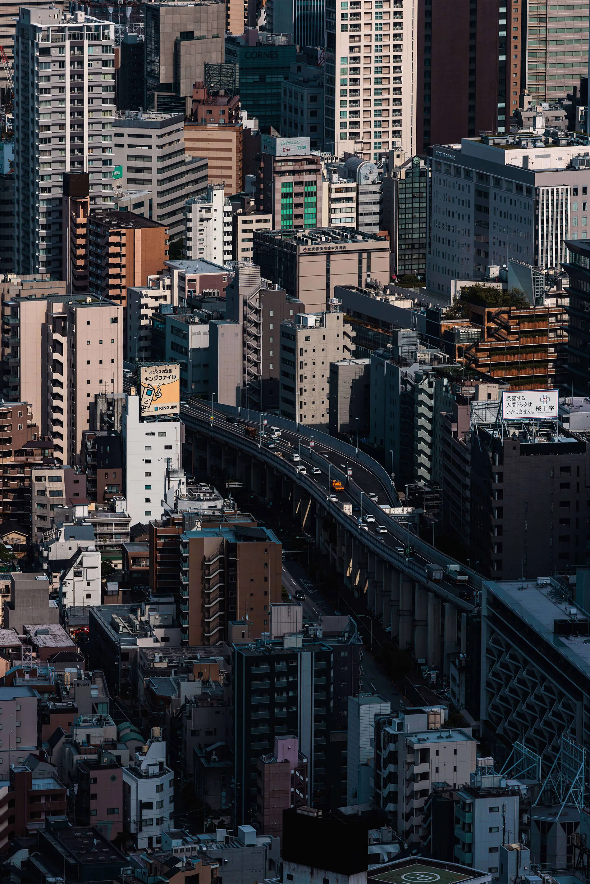 Streetstyle from Tokyo, Japan in 2024 | EDG Studios
