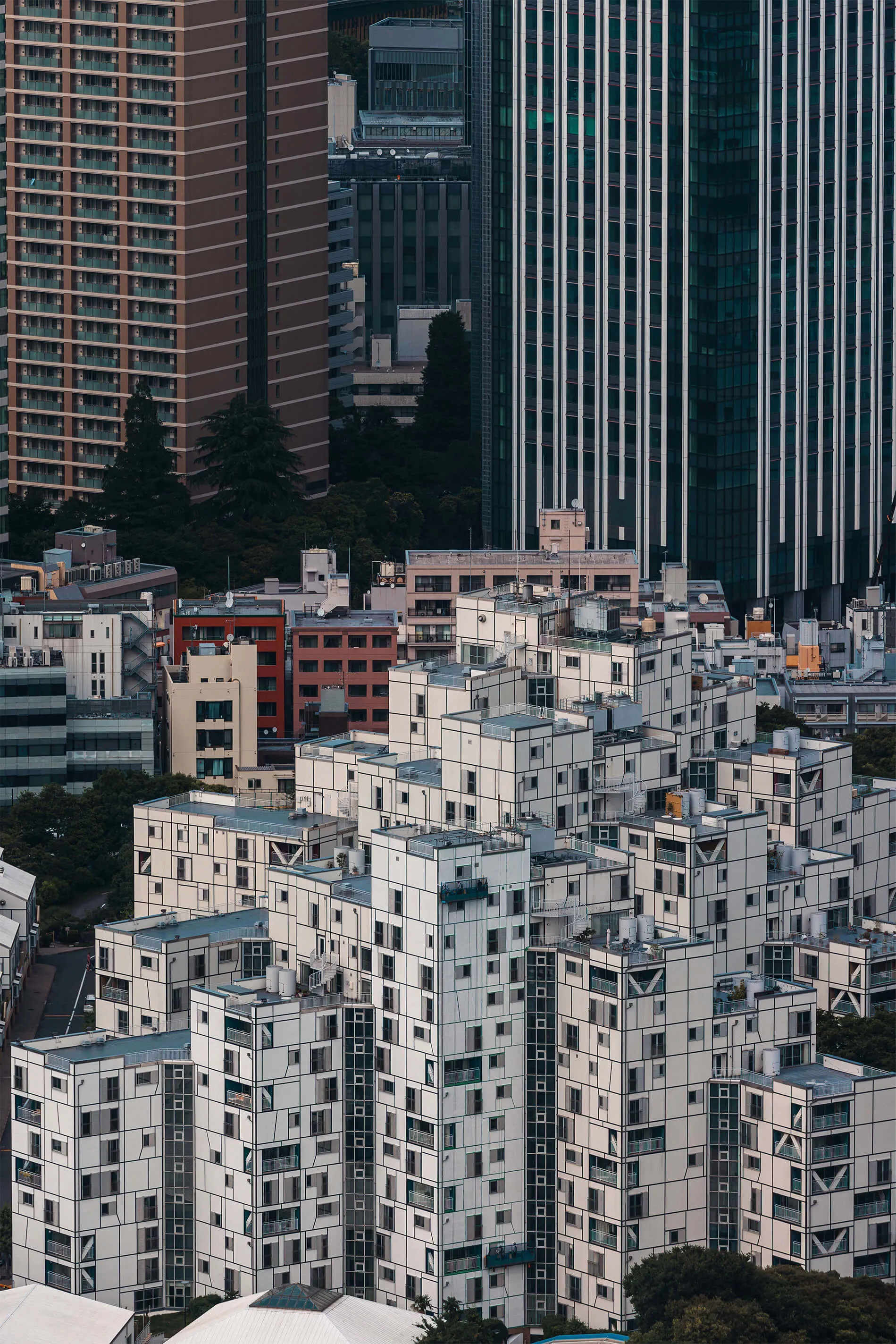 Streetstyle from Tokyo, Japan in 2024 | EDG Studios