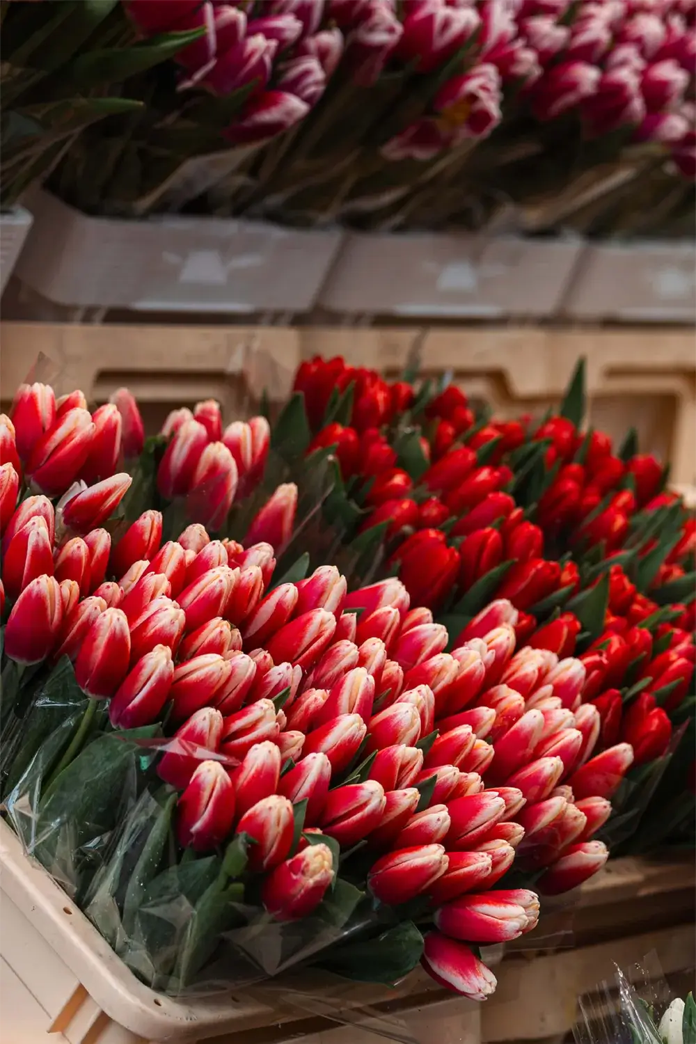 Streetstyle from London, United Kingdom in 2023