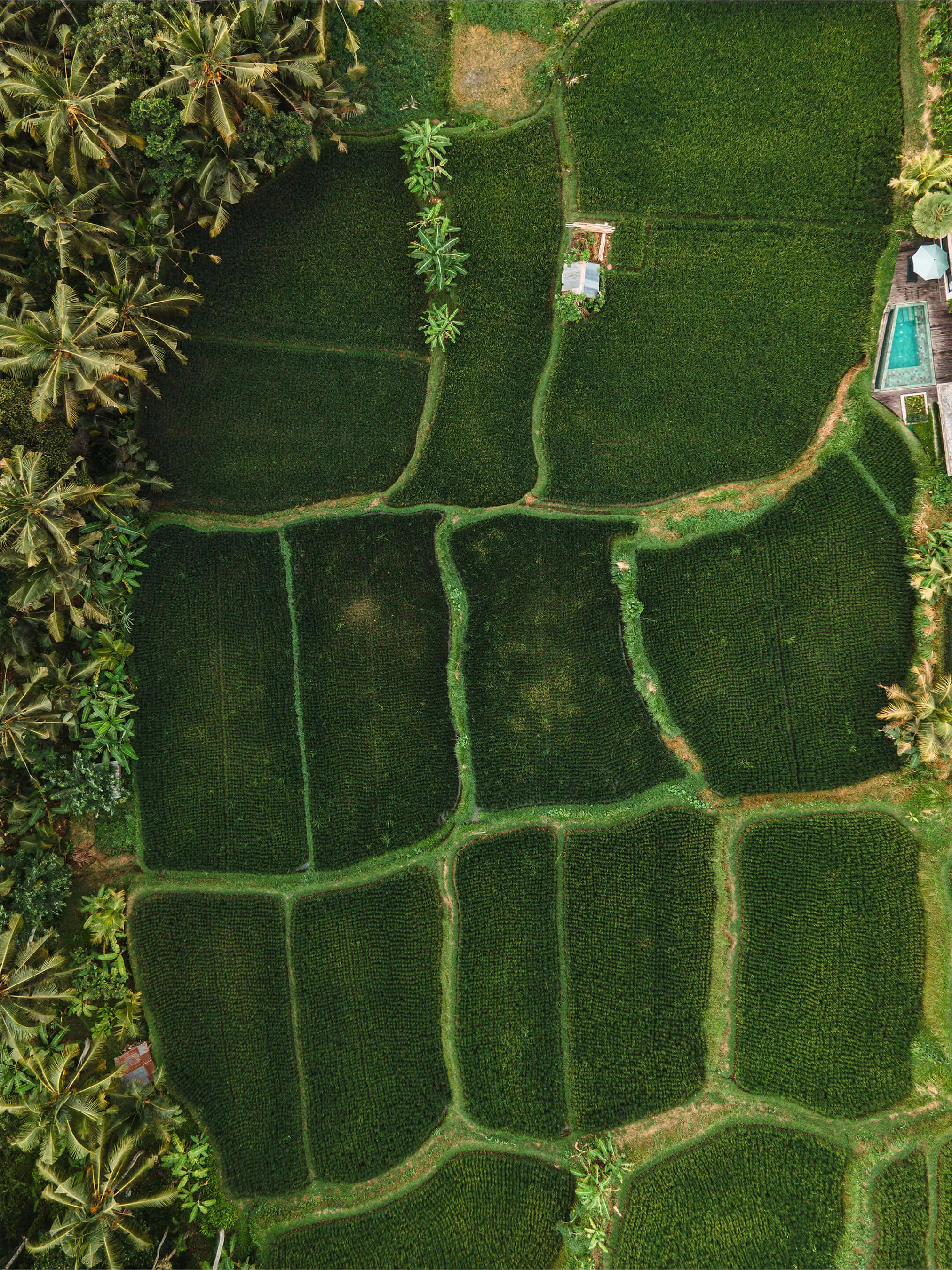 Stunning drone photography capturing landscapes, cities, and nature from around the world | EDG Studios