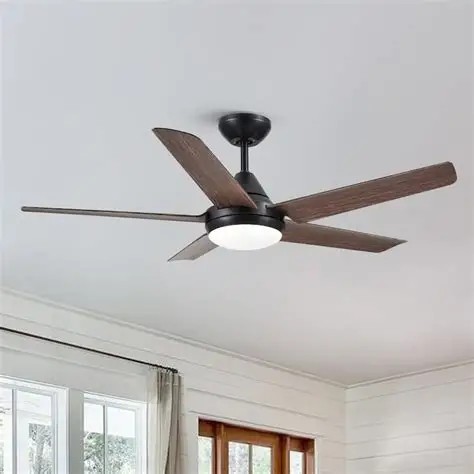Indoor ceiling fan