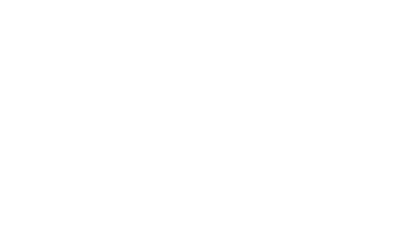 Globe-Trotter