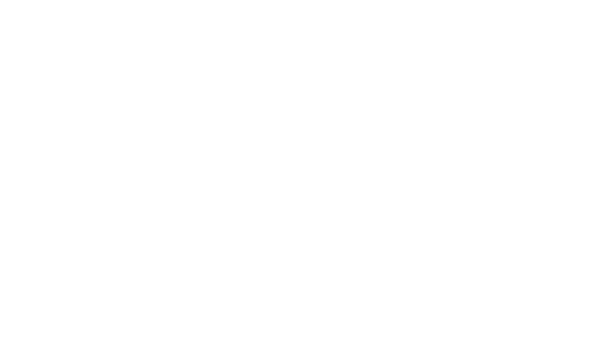 Drakes