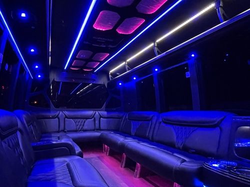 Limo Bus 18 Passenger