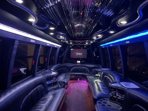 22 Passenger Limousine Bus