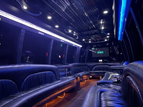 22 Passenger Limousine Bus