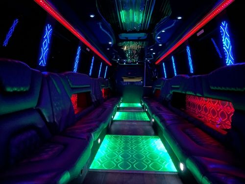 32 Passenger Limousine Bus