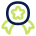Icon graphic, navy and lime star badge