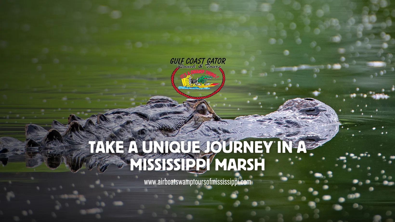 Gulf Coast Gator Ranch & Tours
