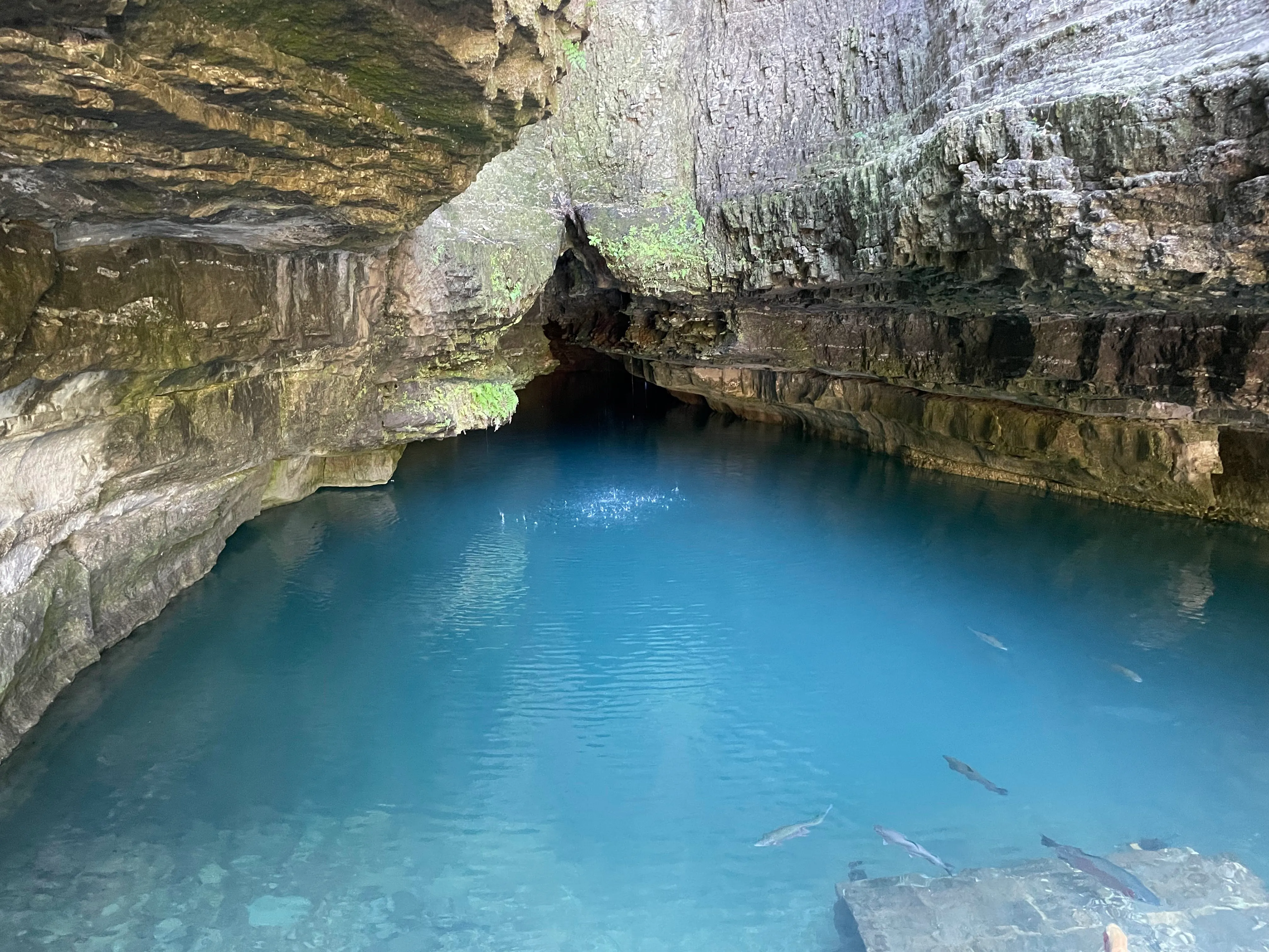 Roaring River State Park