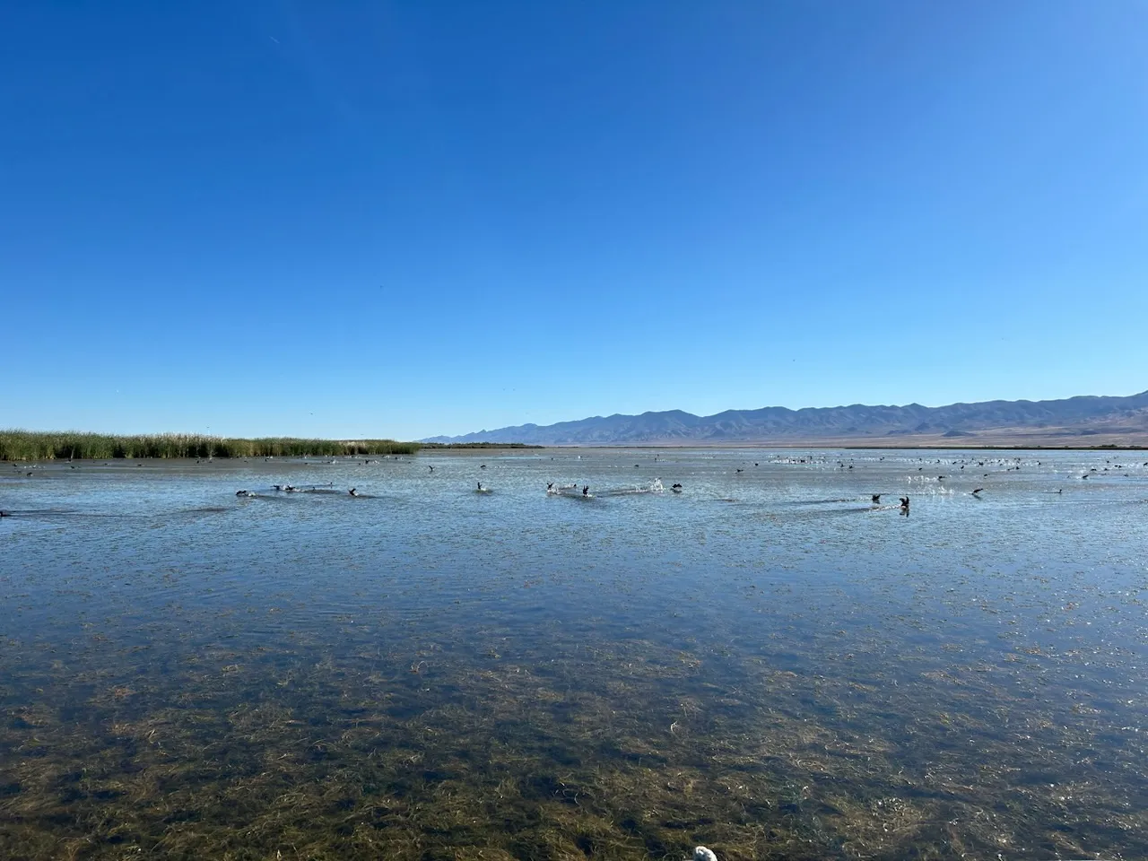 Stillwater National Wildlife Refuge