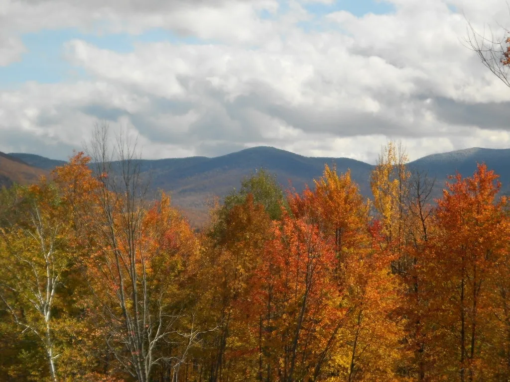 Green Mountain and Finger Lakes National Forests Supervisor's Office