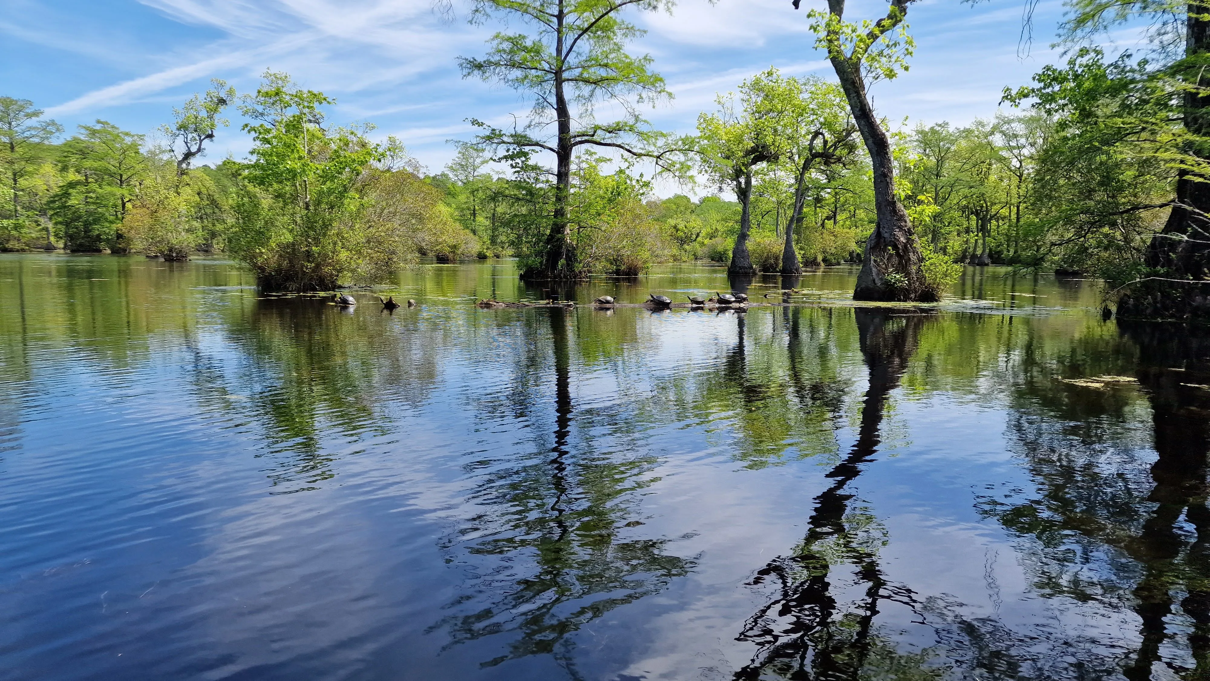 Merchants Millpond State Park