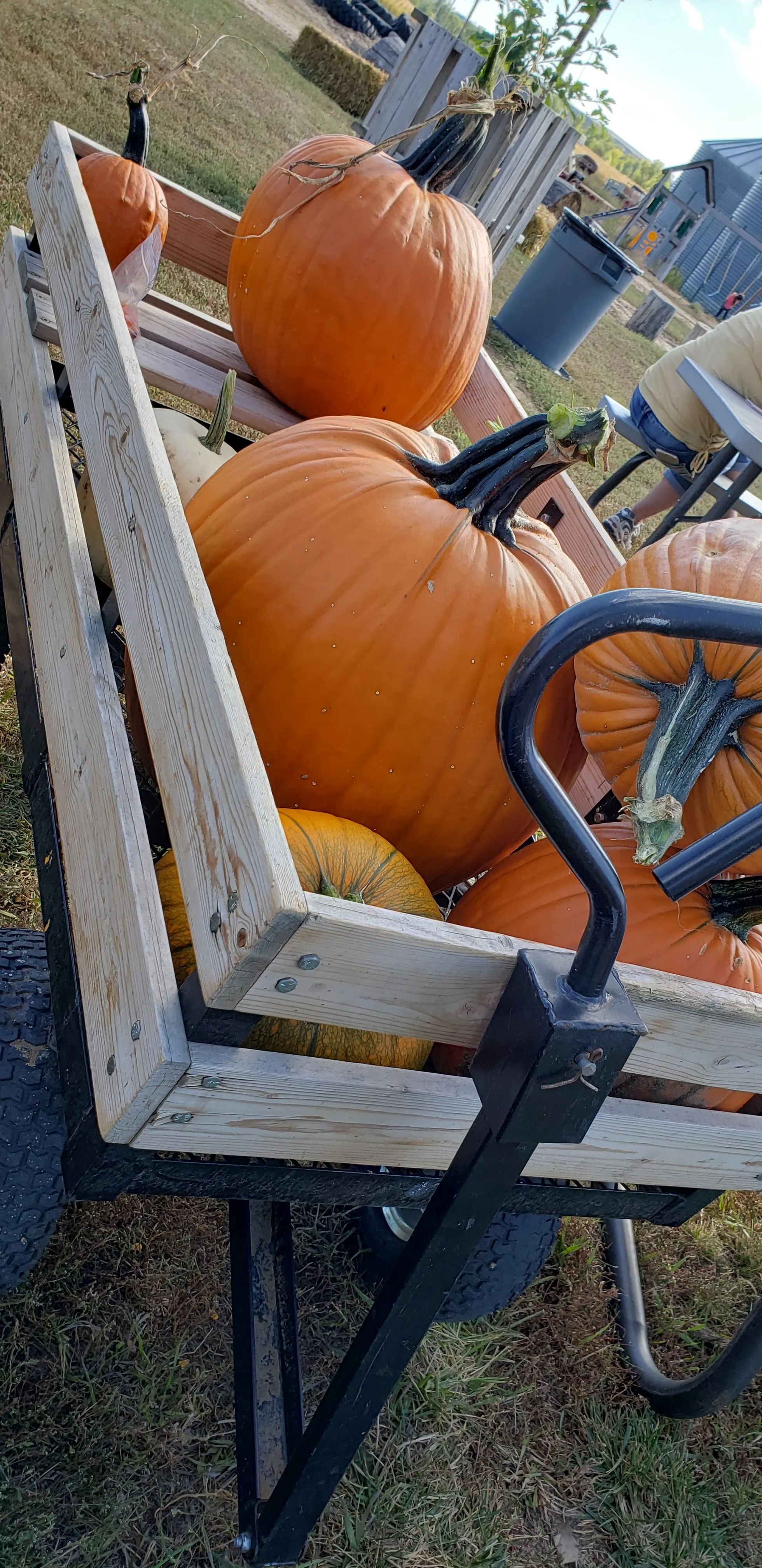 Ellis Harvest Home