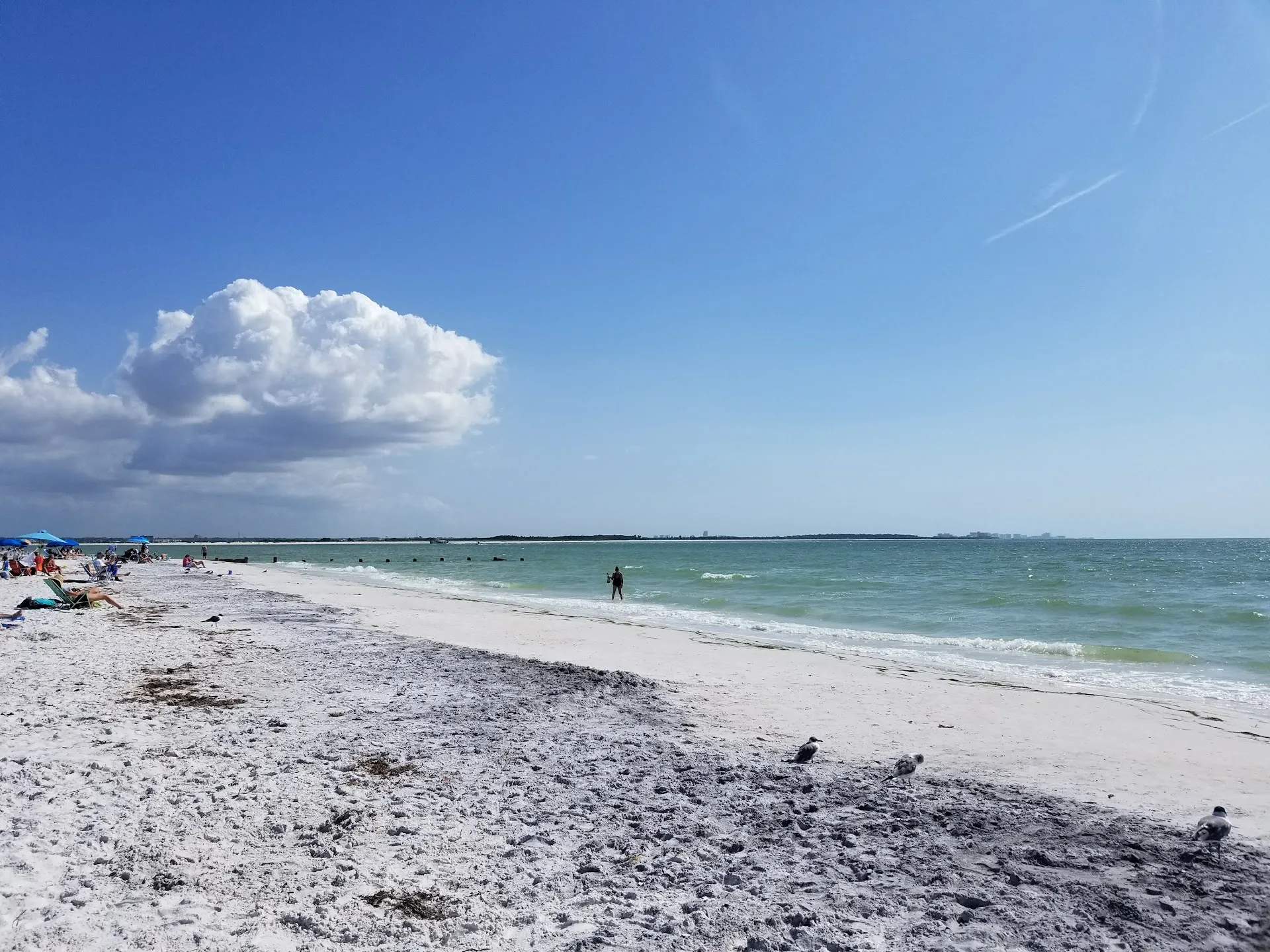 Honeymoon Island State Park
