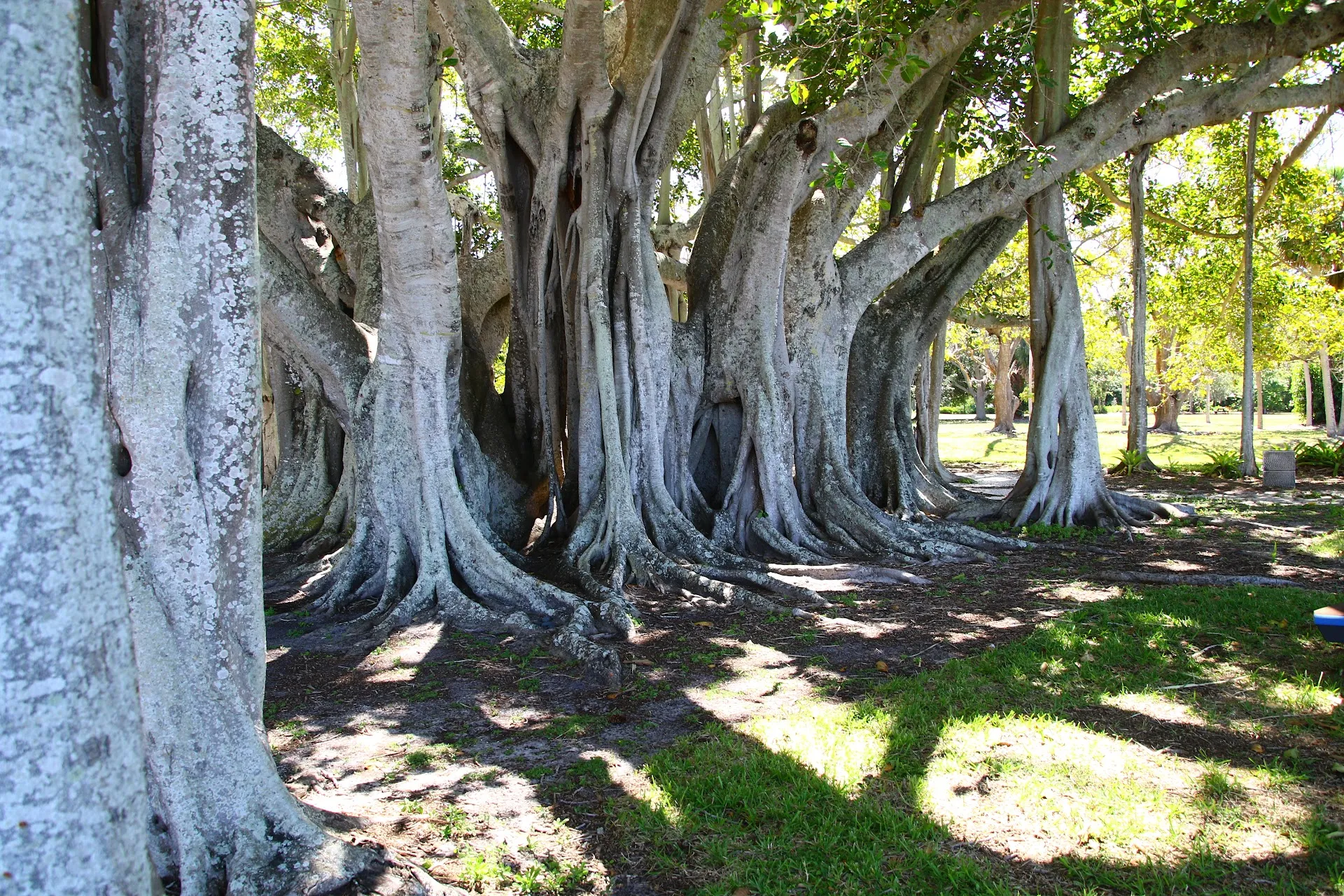 Sarasota