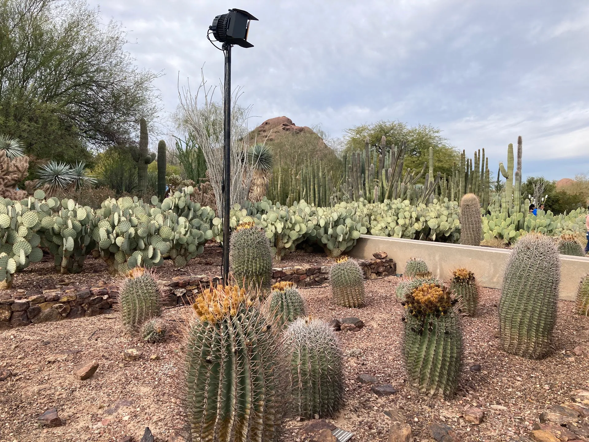 Apache Junction