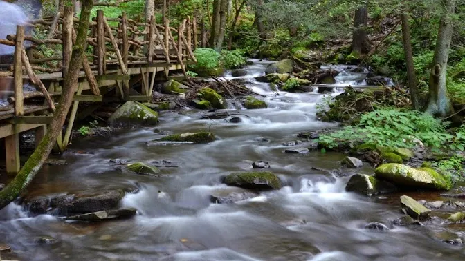 Port Jervis