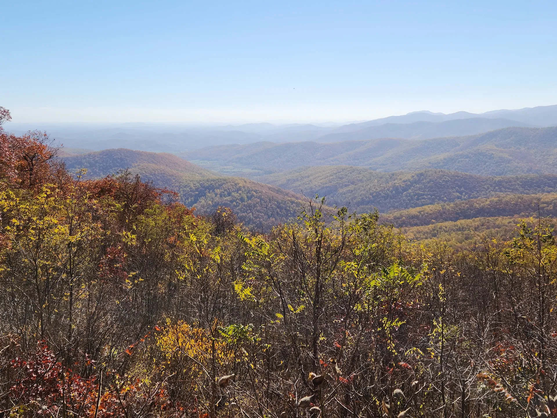 Harrisonburg