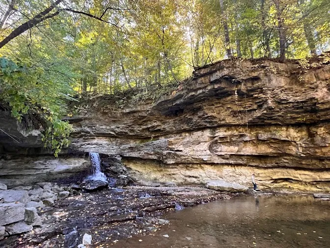 Bloomington