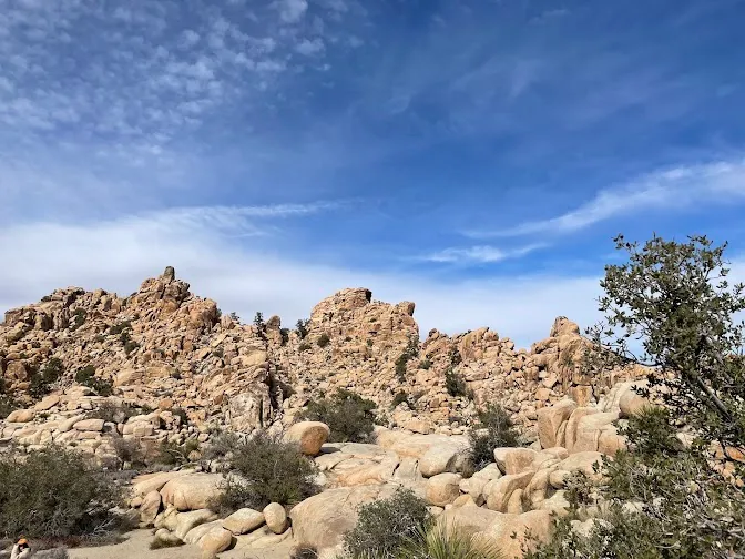 Palm Desert