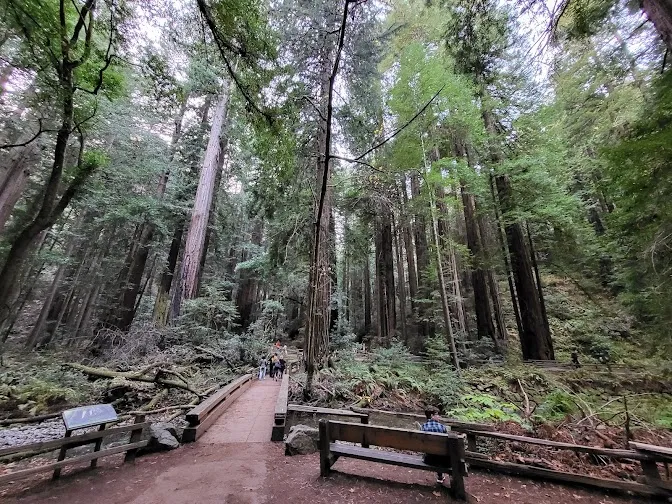 Daly City