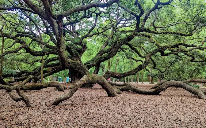 Charleston