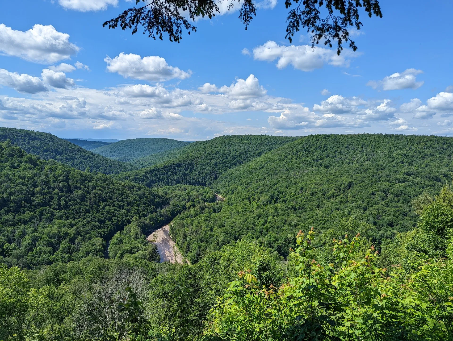 Williamsport