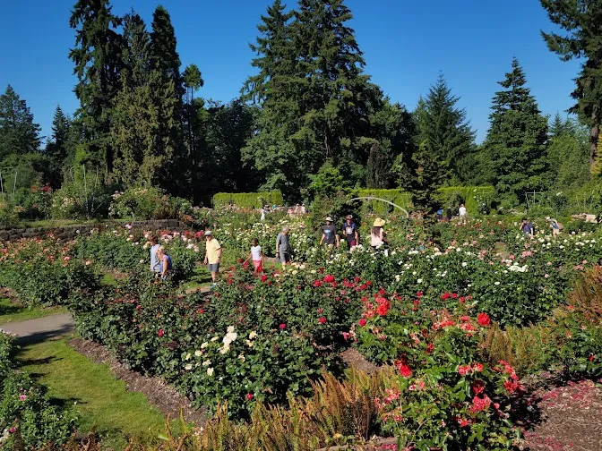 Portland