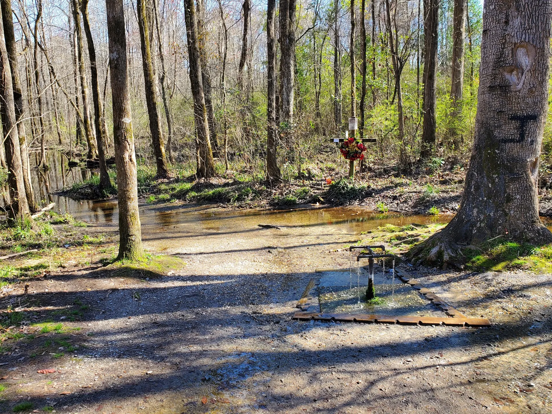 Aiken