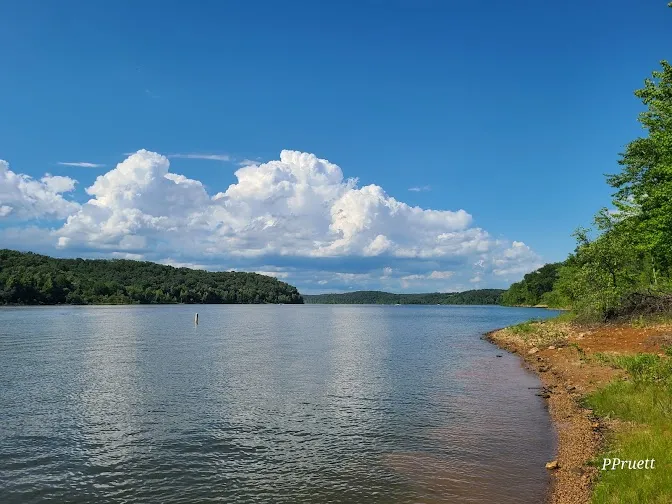 Poplar Bluff