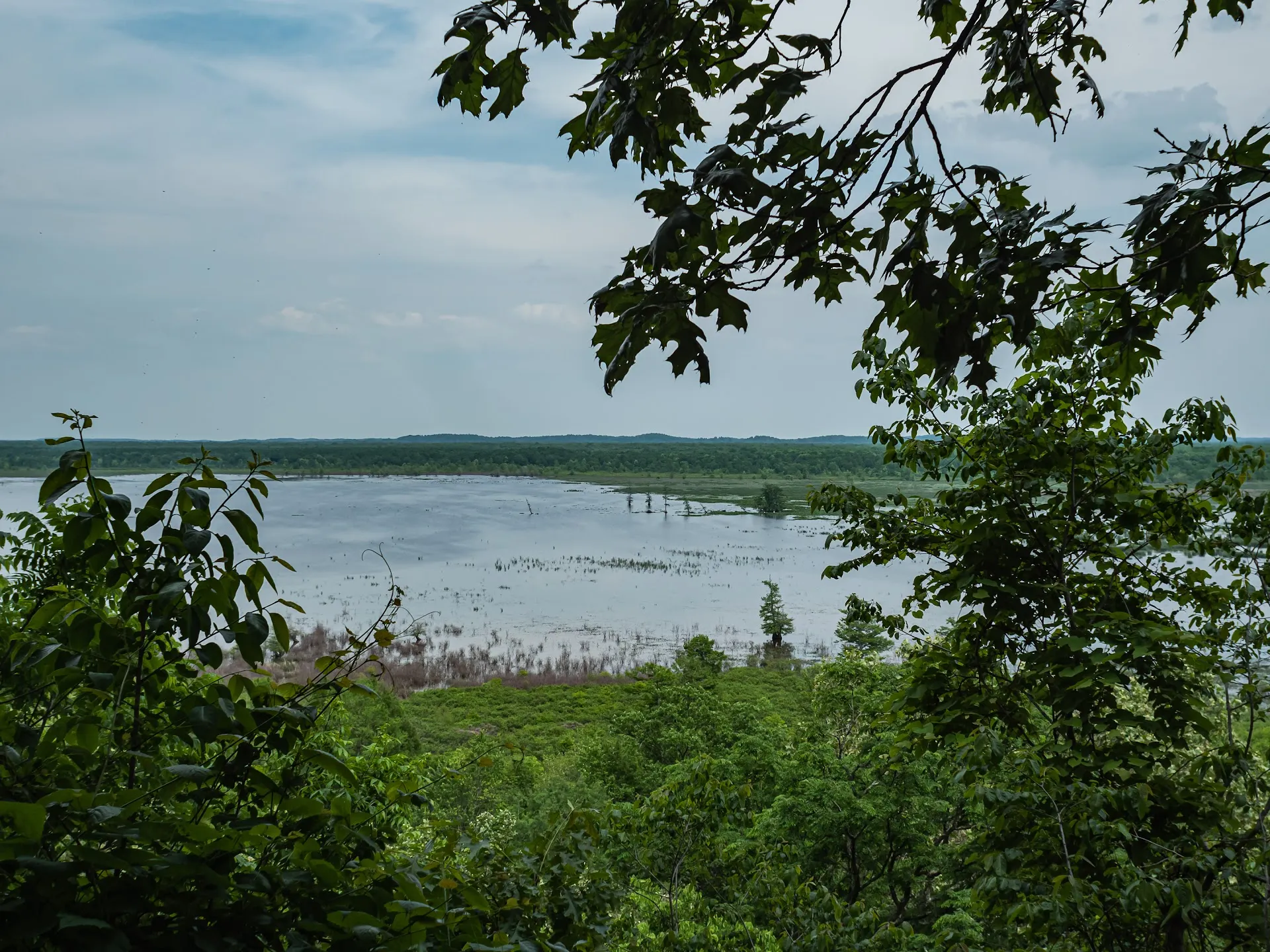 Mingo National Wildlife Refuge