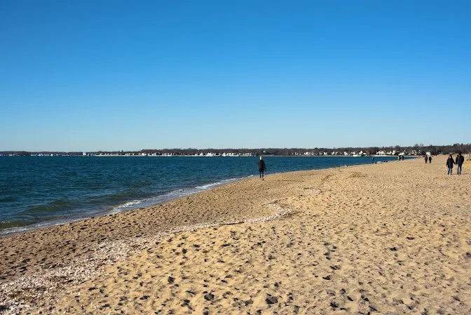 New Haven